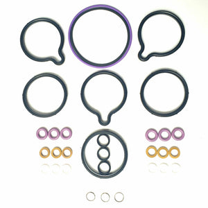 75 / ZT High Pressure Fuel Pump Repair / Seal Kit - MSR100320