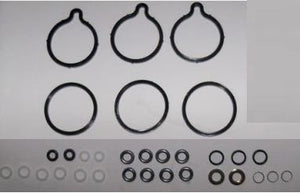 75 / ZT High Pressure Fuel Pump Repair / Seal Kit - MSR100320